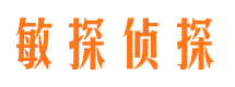 高阳市调查公司